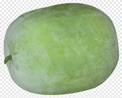 வெள்ளை பூசணிக்காய் / Vellai Poosanikkai - Ash Gourd ,  Winter Melon